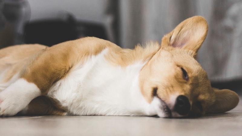 nap